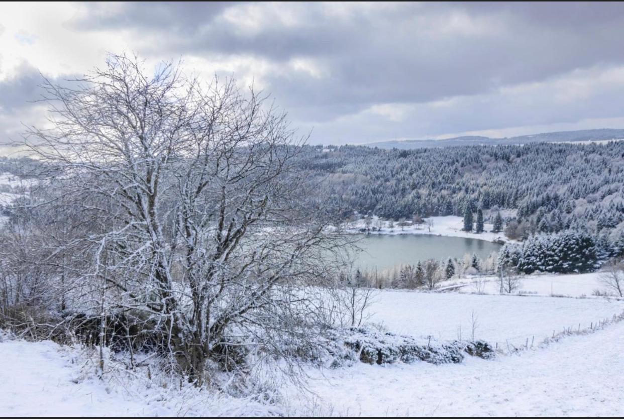 Apartmán Loire-Gerbier-Mezenc Sainte-Eulalie  Exteriér fotografie